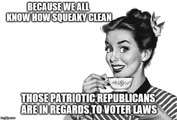1950s Housewife | BECAUSE WE ALL KNOW HOW SQUEAKY CLEAN THOSE PATRIOTIC REPUBLICANS ARE IN REGARDS TO VOTER LAWS | image tagged in 1950s housewife | made w/ Imgflip meme maker