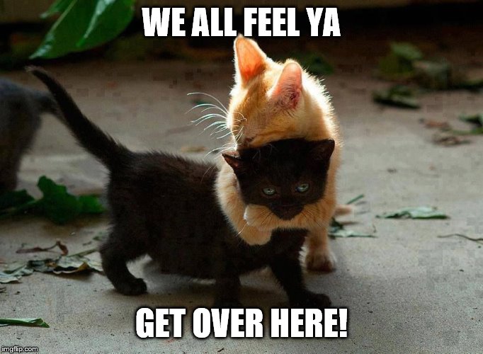 kitten hug | WE ALL FEEL YA GET OVER HERE! | image tagged in kitten hug | made w/ Imgflip meme maker