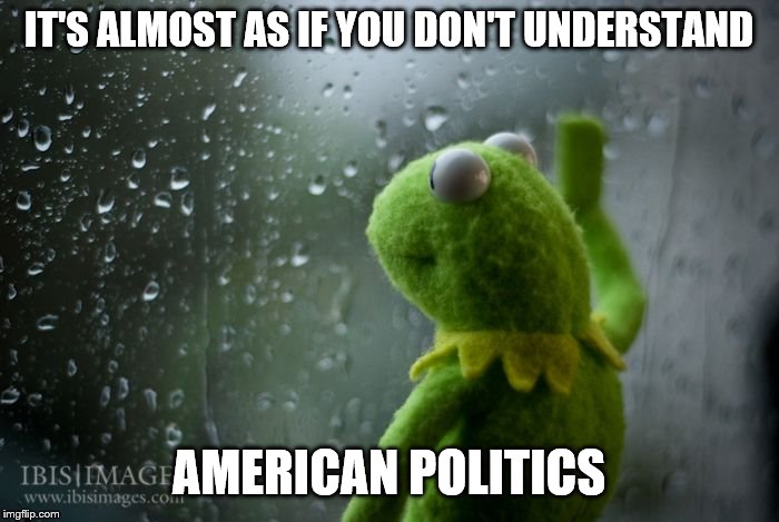 kermit window | IT'S ALMOST AS IF YOU DON'T UNDERSTAND AMERICAN POLITICS | image tagged in kermit window | made w/ Imgflip meme maker