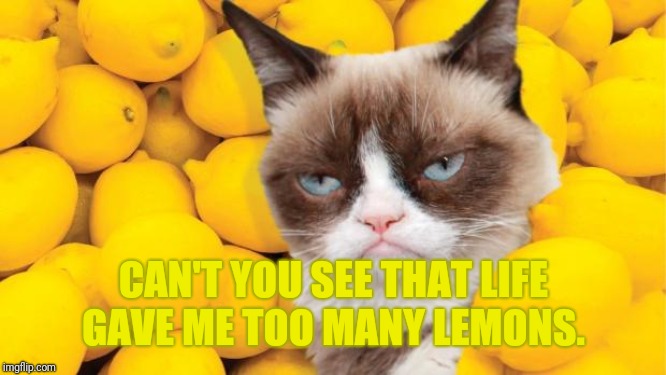 Lemonade. Lemonade. Gimme the lemonade boi! | CAN'T YOU SEE THAT LIFE GAVE ME TOO MANY LEMONS. | image tagged in grumpy cat lemons,when life gives you lemons,lemonade | made w/ Imgflip meme maker
