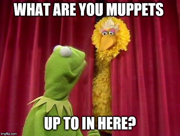 WHAT ARE YOU MUPPETS UP TO IN HERE? | made w/ Imgflip meme maker