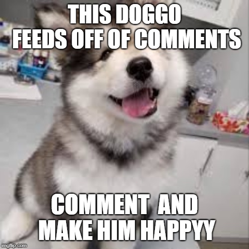 Doggo (Also Tell Your Friends) | THIS DOGGO FEEDS OFF OF COMMENTS; COMMENT  AND MAKE HIM HAPPYY | image tagged in doggo week | made w/ Imgflip meme maker