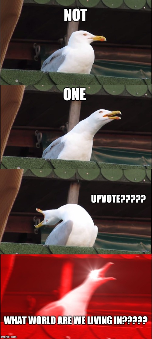 Inhaling Seagull | NOT; ONE; UPVOTE????? WHAT WORLD ARE WE LIVING IN????? | image tagged in memes,inhaling seagull | made w/ Imgflip meme maker