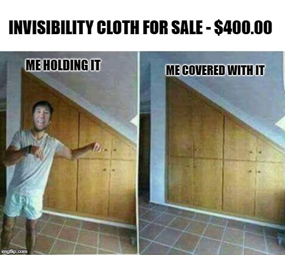 invisibility cloth for sale | INVISIBILITY CLOTH FOR SALE - $400.00; ME HOLDING IT; ME COVERED WITH IT | image tagged in invisibility cloth,for sale | made w/ Imgflip meme maker