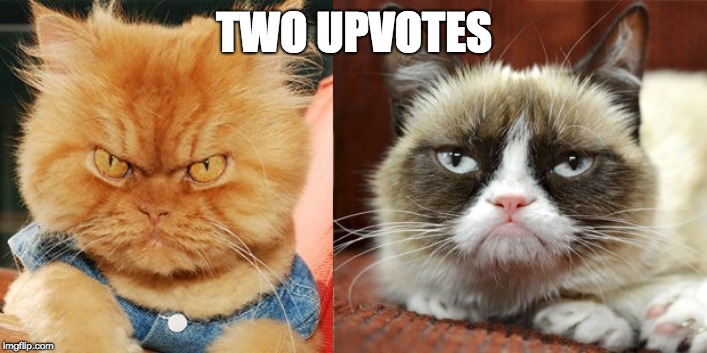 grump cat and angry cat | TWO UPVOTES | image tagged in grump cat and angry cat | made w/ Imgflip meme maker