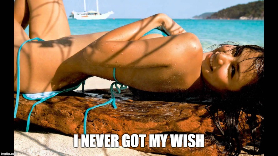 Sexy girl on beach  | I NEVER GOT MY WISH | image tagged in sexy girl on beach | made w/ Imgflip meme maker