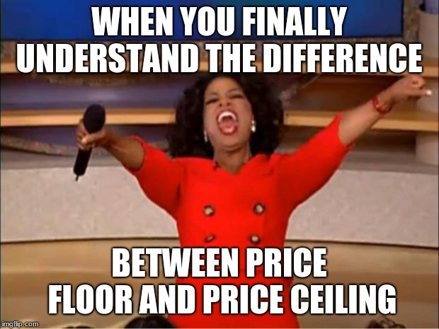 Oprah You Get A | WHEN YOU FINALLY UNDERSTAND THE DIFFERENCE; BETWEEN PRICE FLOOR AND PRICE CEILING | image tagged in memes,oprah you get a | made w/ Imgflip meme maker