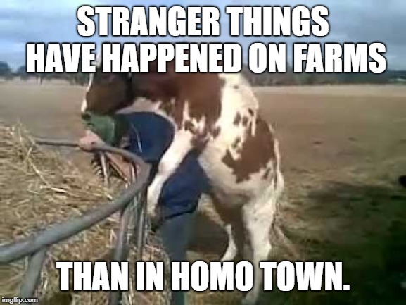 STRANGER THINGS HAVE HAPPENED ON FARMS THAN IN HOMO TOWN. | made w/ Imgflip meme maker
