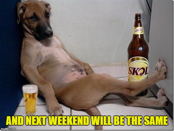 Drunk dog | AND NEXT WEEKEND WILL BE THE SAME | image tagged in drunk dog | made w/ Imgflip meme maker