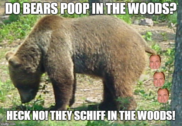 bears schiff in the woods | DO BEARS POOP IN THE WOODS? HECK NO! THEY SCHIFF IN THE WOODS! | image tagged in politics,schiff is poop,schiff is unamerican,democrats are evil | made w/ Imgflip meme maker
