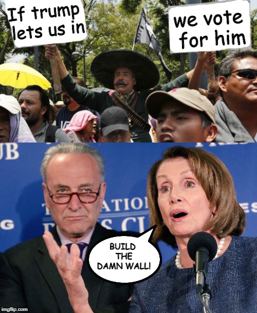 If it happened... | we vote for him; If trump lets us in; BUILD THE DAMN WALL! | image tagged in schumer_pelosi,politics,political meme | made w/ Imgflip meme maker