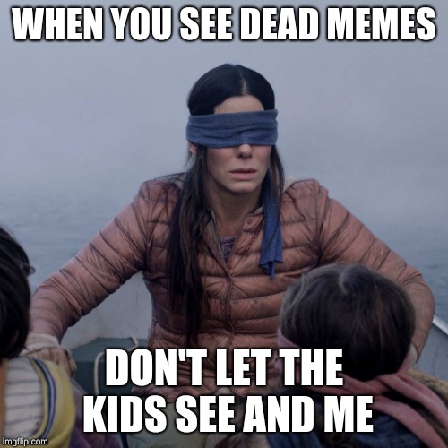 Bird Box Meme | WHEN YOU SEE DEAD MEMES; DON'T LET THE KIDS SEE AND ME | image tagged in memes,bird box | made w/ Imgflip meme maker