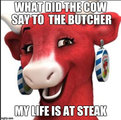 laughing cow | WHAT DID THE COW SAY TO  THE BUTCHER; MY LIFE IS AT STEAK | image tagged in laughing cow | made w/ Imgflip meme maker