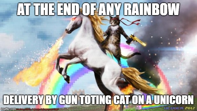 Epic Rainbow Unicorn Cat | AT THE END OF ANY RAINBOW DELIVERY BY GUN TOTING CAT ON A UNICORN | image tagged in epic rainbow unicorn cat | made w/ Imgflip meme maker