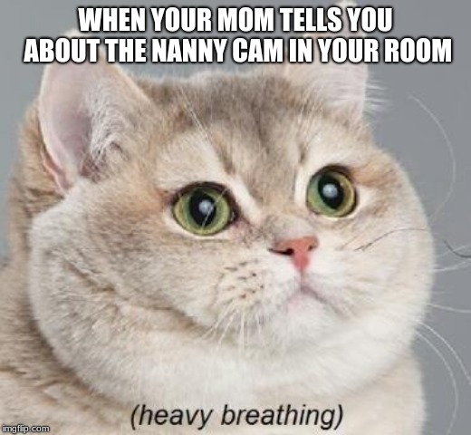 Heavy Breathing Cat | WHEN YOUR MOM TELLS YOU ABOUT THE NANNY CAM IN YOUR ROOM | image tagged in memes,heavy breathing cat | made w/ Imgflip meme maker