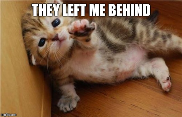 Help Me Kitten | THEY LEFT ME BEHIND | image tagged in help me kitten | made w/ Imgflip meme maker