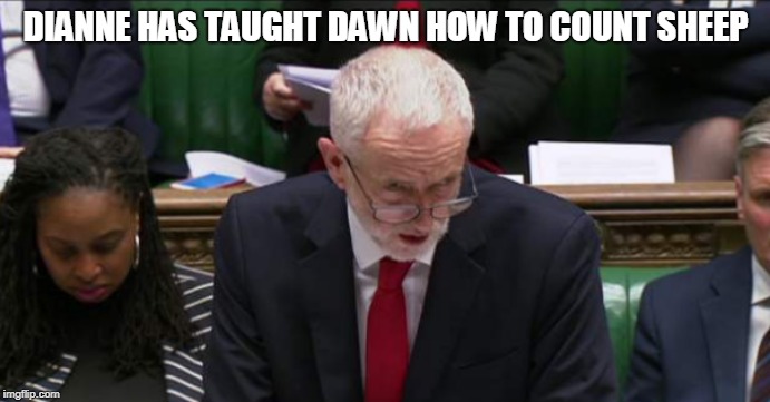 Sleeping politican | DIANNE HAS TAUGHT DAWN HOW TO COUNT SHEEP | image tagged in jeremy corbyn | made w/ Imgflip meme maker