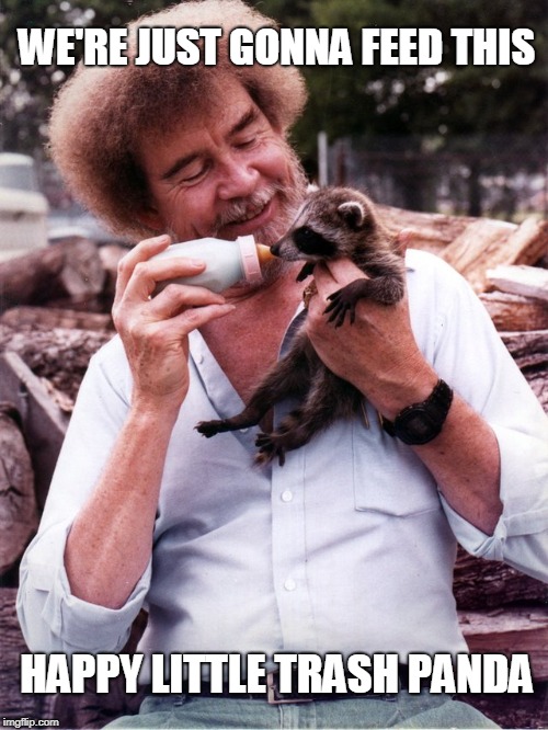 Hope This Brightens Your Day | WE'RE JUST GONNA FEED THIS; HAPPY LITTLE TRASH PANDA | image tagged in bob ross,racoon | made w/ Imgflip meme maker