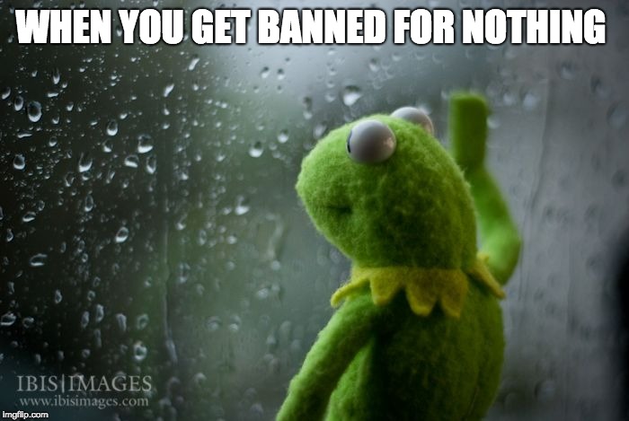kermit window | WHEN YOU GET BANNED FOR NOTHING | image tagged in kermit window | made w/ Imgflip meme maker