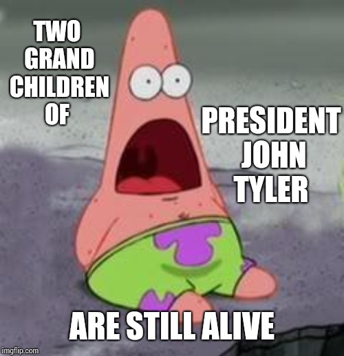 He Was 63 When His Son Was Born.  His Son Was 71 When His Sons Were Born. Just A Bunch Of Dirty Old Men. | TWO GRAND CHILDREN OF; PRESIDENT JOHN TYLER; ARE STILL ALIVE | image tagged in suprised patrick,cool story bro,cool,wait what,what if i told you,memes | made w/ Imgflip meme maker