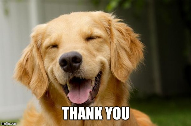 Happy Dog | THANK YOU | image tagged in happy dog | made w/ Imgflip meme maker
