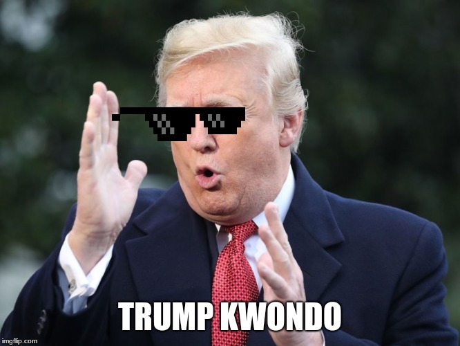 donold trump | TRUMP KWONDO | image tagged in trump | made w/ Imgflip meme maker