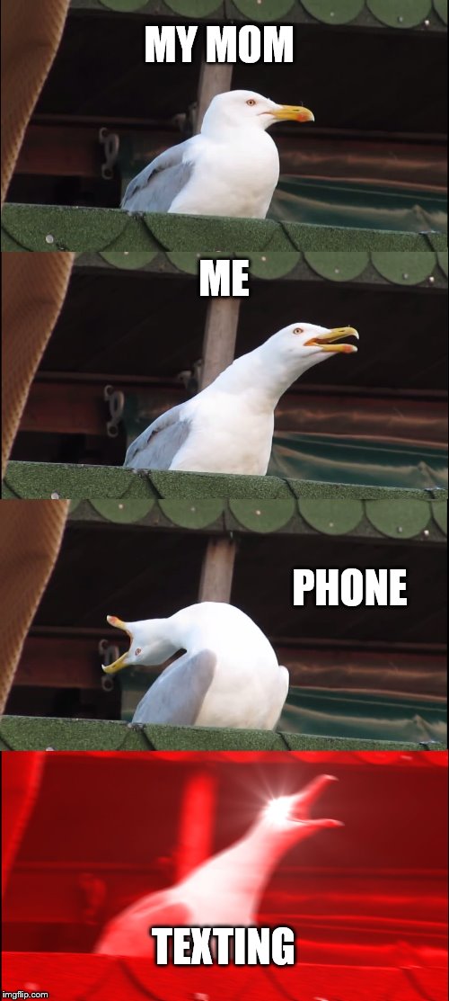 Inhaling Seagull Meme | MY MOM; ME; PHONE; TEXTING | image tagged in memes,inhaling seagull | made w/ Imgflip meme maker