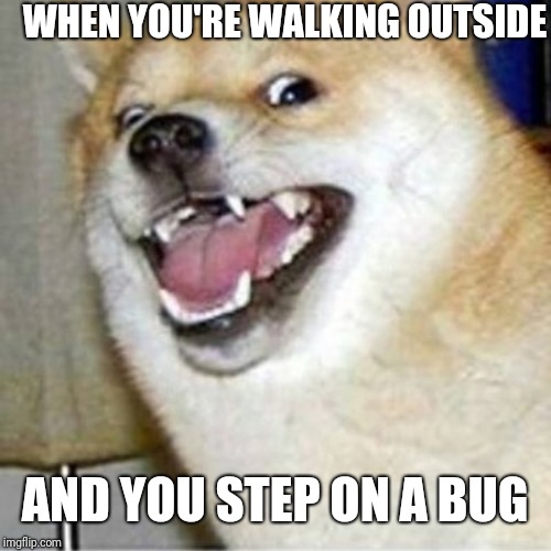 I've done this before.  Stepped on a pretty nasty roach on accident. | WHEN YOU'RE WALKING OUTSIDE; AND YOU STEP ON A BUG | image tagged in doggo week | made w/ Imgflip meme maker