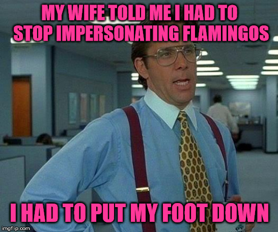 Flamingo impersonations | MY WIFE TOLD ME I HAD TO STOP IMPERSONATING FLAMINGOS; I HAD TO PUT MY FOOT DOWN | image tagged in memes,that would be great,flamingo,foot,wife | made w/ Imgflip meme maker