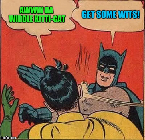 Batman Slapping Robin Meme | AWWW DA WIDDLE KITTI-CAT GET SOME WITS! | image tagged in memes,batman slapping robin | made w/ Imgflip meme maker