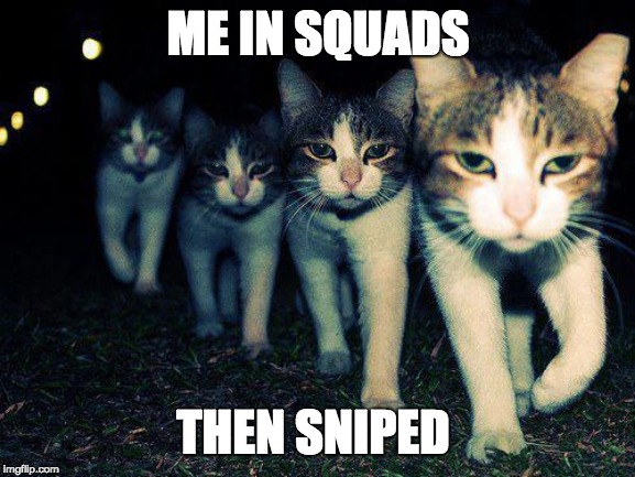 Wrong Neighboorhood Cats | ME IN SQUADS; THEN SNIPED | image tagged in memes,wrong neighboorhood cats | made w/ Imgflip meme maker