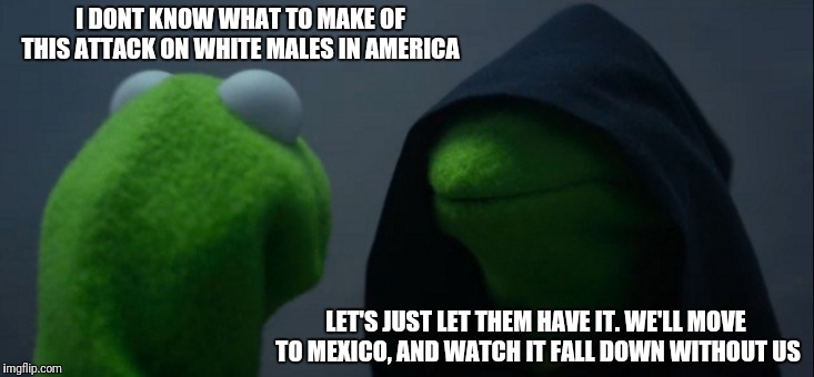 White men can start our own country | I DONT KNOW WHAT TO MAKE OF THIS ATTACK ON WHITE MALES IN AMERICA; LET'S JUST LET THEM HAVE IT. WE'LL MOVE TO MEXICO, AND WATCH IT FALL DOWN WITHOUT US | image tagged in memes,evil kermit | made w/ Imgflip meme maker