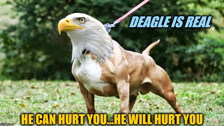 DEAGLE IS REAL HE CAN HURT YOU...HE WILL HURT YOU | made w/ Imgflip meme maker