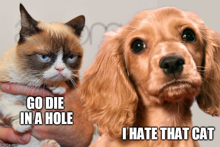 GO DIE IN A HOLE I HATE THAT CAT | made w/ Imgflip meme maker