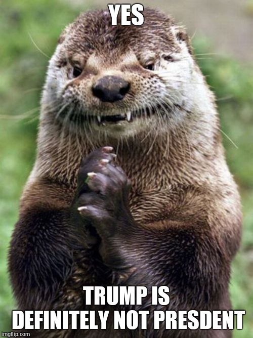 Evil Otter Meme | YES TRUMP IS DEFINITELY NOT PRESDENT | image tagged in memes,evil otter | made w/ Imgflip meme maker