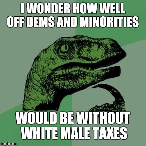 Philosoraptor | I WONDER HOW WELL OFF DEMS AND MINORITIES; WOULD BE WITHOUT WHITE MALE TAXES | image tagged in memes,philosoraptor | made w/ Imgflip meme maker