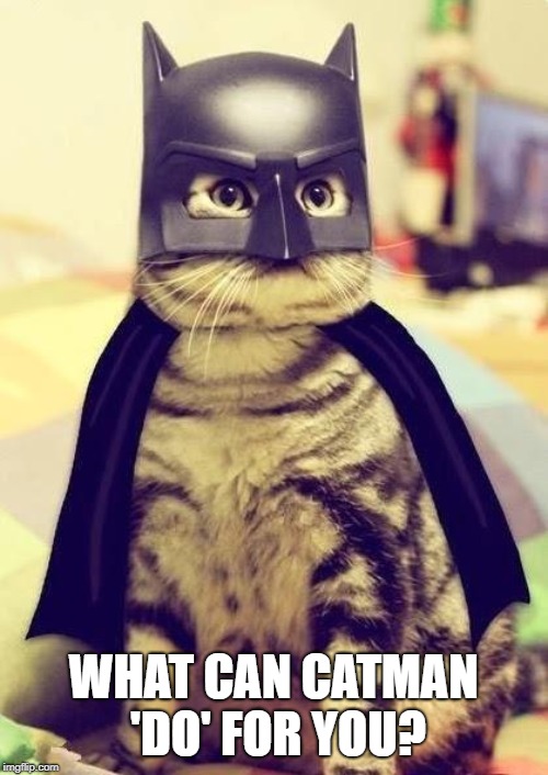 catman | WHAT CAN CATMAN 'DO' FOR YOU? | image tagged in catman | made w/ Imgflip meme maker