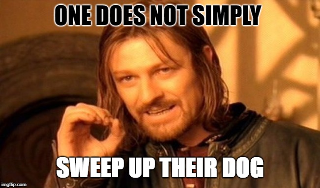 One Does Not Simply Meme | ONE DOES NOT SIMPLY SWEEP UP THEIR DOG | image tagged in memes,one does not simply | made w/ Imgflip meme maker