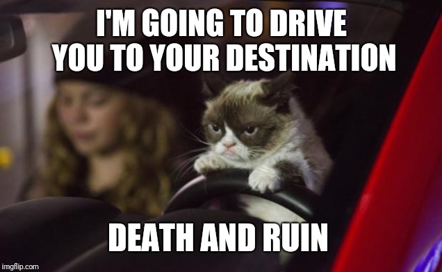 Grumpy Cat Driving | I'M GOING TO DRIVE YOU TO YOUR DESTINATION DEATH AND RUIN | image tagged in grumpy cat driving | made w/ Imgflip meme maker