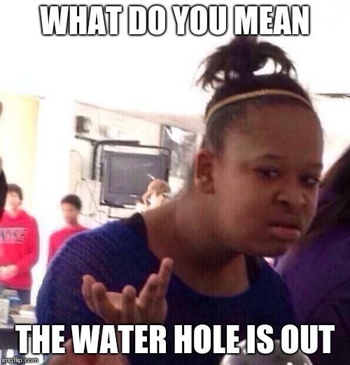 Black Girl Wat | WHAT DO YOU MEAN; THE WATER HOLE IS OUT | image tagged in memes,black girl wat | made w/ Imgflip meme maker