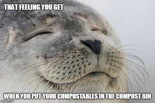 Feeling when you put your compostables in the compost bin | THAT FEELING YOU GET; WHEN YOU PUT YOUR COMPOSTABLES IN THE COMPOST BIN | image tagged in memes,satisfied seal,compost | made w/ Imgflip meme maker