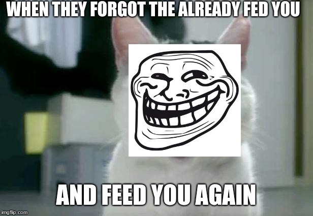OMG Cat | WHEN THEY FORGOT THE ALREADY FED YOU; AND FEED YOU AGAIN | image tagged in memes,omg cat | made w/ Imgflip meme maker
