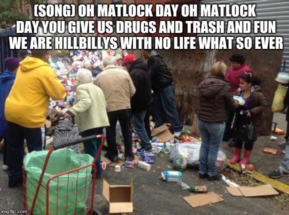 dumpster diving | (SONG) OH MATLOCK DAY OH MATLOCK DAY YOU GIVE US DRUGS AND TRASH AND FUN WE ARE HILLBILLYS WITH NO LIFE WHAT SO EVER | image tagged in dumpster diving | made w/ Imgflip meme maker