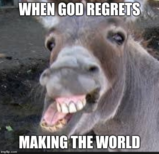 gods only mistake | WHEN GOD REGRETS; MAKING THE WORLD | image tagged in ha ha ha ha | made w/ Imgflip meme maker