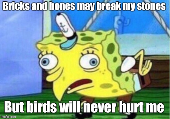 Mocking Spongebob | Bricks and bones may break my stones; But birds will never hurt me | image tagged in memes,mocking spongebob | made w/ Imgflip meme maker