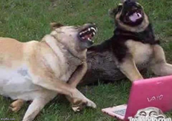 Dogs Laughing | . | image tagged in dogs laughing | made w/ Imgflip meme maker