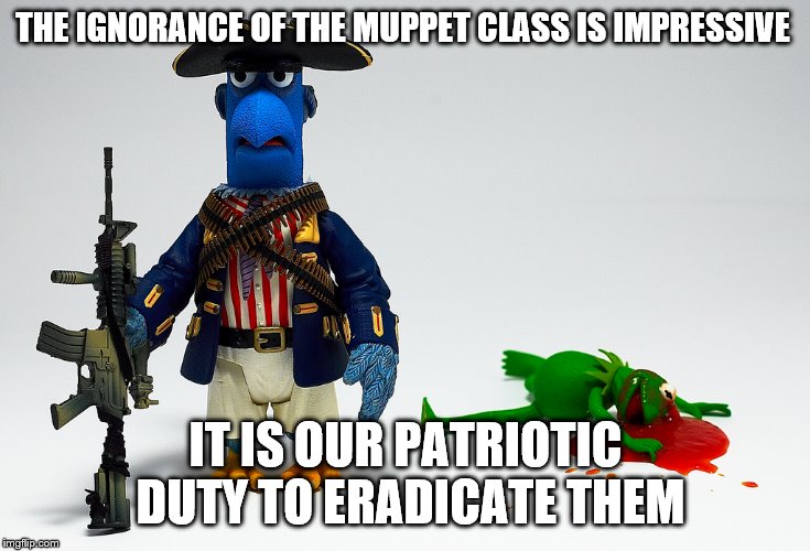 THE IGNORANCE OF THE MUPPET CLASS IS IMPRESSIVE IT IS OUR PATRIOTIC DUTY TO ERADICATE THEM | made w/ Imgflip meme maker