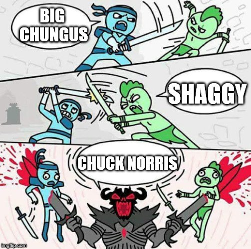 Sword fight | BIG CHUNGUS; SHAGGY; CHUCK NORRIS | image tagged in sword fight | made w/ Imgflip meme maker