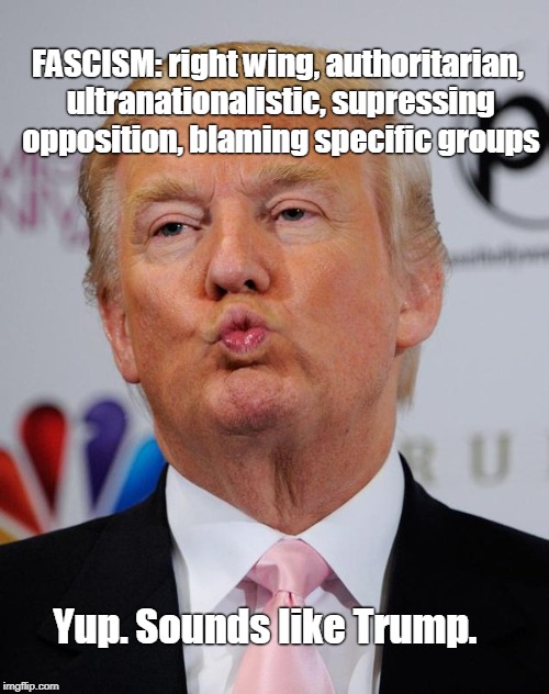 If the shoe fits, Trump must wear it. | FASCISM: right wing, authoritarian, ultranationalistic, supressing opposition, blaming specific groups; Yup. Sounds like Trump. | image tagged in trump kiss,fascism,trump,right-wing,alt right,not democracy | made w/ Imgflip meme maker