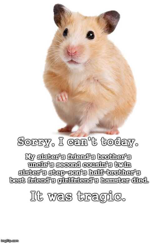 Tragic Loss | My sister's friend's brother's uncle's second cousin's twin sister's step-son's half-brother's best friend's girlfriend's hamster died. Sorry, I can't today. It was tragic. | image tagged in sorry,hamster,died,tragic,can't even | made w/ Imgflip meme maker